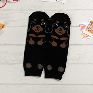 Cartoon Dog Breed Socks - Dachshund / Women's Shoe Size 5-10 - UPKIWI